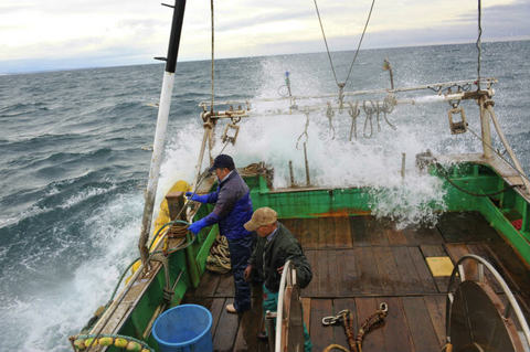 s_TM21275.jpg
