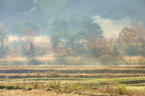 shosei1_TM1_3957.jpg