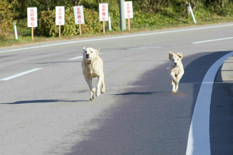 shosei1_TM1_3975.jpg
