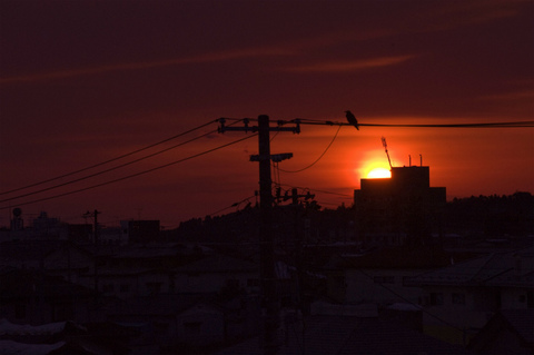 shosei1_TM1_5157.jpg
