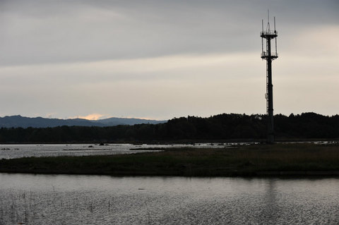 TM1_1374.jpg