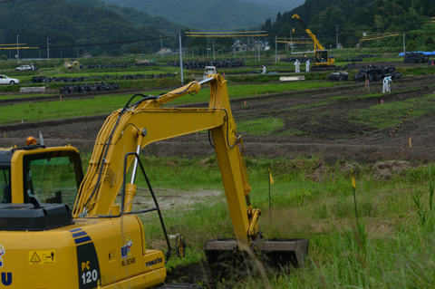 TM3_3694.jpg