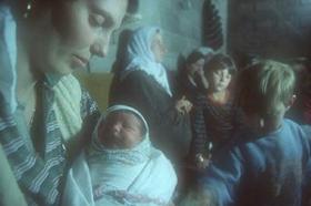 ���\�l�̃A���o�j�A��