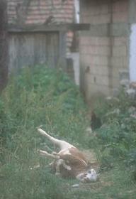 ����n���E���ꕅ�s�L������Ă���