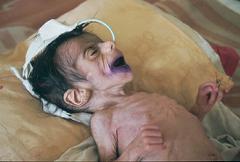 �h�{�����œ��@���Ă����q�ǂ�