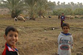 �򉻃E�����e�Ŕj�󂳂ꂽ�L���m���C