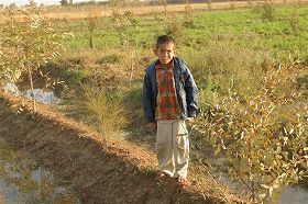 �A���E�t�Z�C���E���n���}�b�h�N���e�����ꂽ�l��