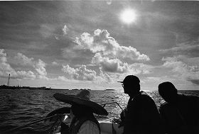 �R�c�D�̏o�`