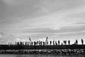 �R�c�D���}���闤�ō��荞��ł����l�X