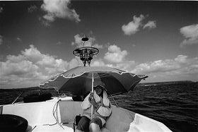 �R�c�D���q�H�u�C�Ɍq���ł��΂��x��