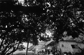 ��������O�̐X