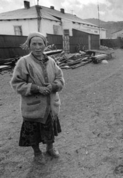 �G���I�K�[����̉�����