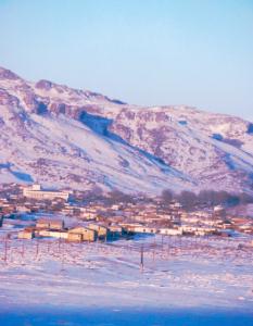 �J�C�i�[����