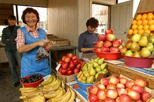 �o�U�[���Ń����S�ƃv���[���𔃂����B